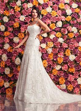 Cipriani 2016 1856T