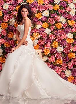 Cipriani 2016 2096T
