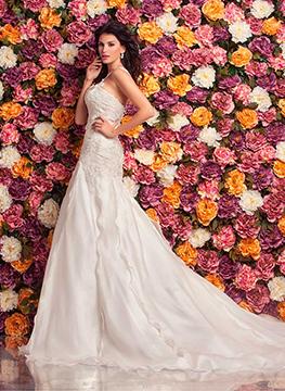 Cipriani 2016 2114 2T