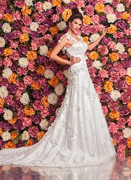 Cipriani 2016 2124 2T